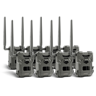 FLEX-M CA PRE-OWNED 8 PACK